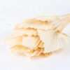 Palm Spear 40cm x7 - Blanchi – Image 3