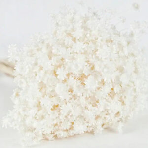 Glixia Dried Bunch - BLEACHED